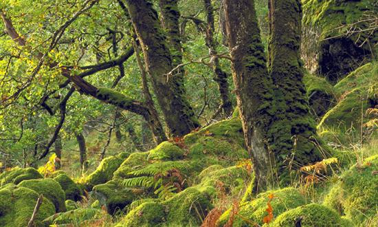 2148-53.jpg[ProductMain]