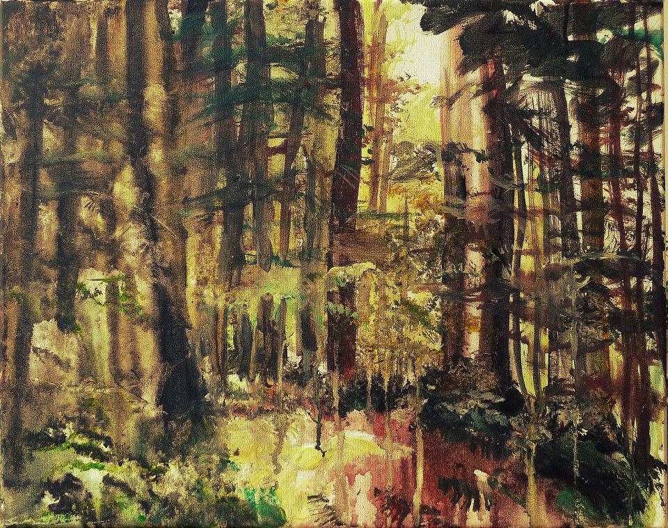 Sold. 'Glentress Forest 2'. Acrylic on 20x16" canvas. Rose Strang 2014