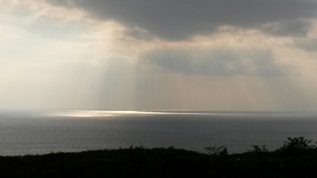 20140907_172814.jpg image