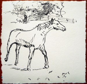 'Horse Sketch 1'. Pen and ink on 6x6" paper. Rose Strang 2015
