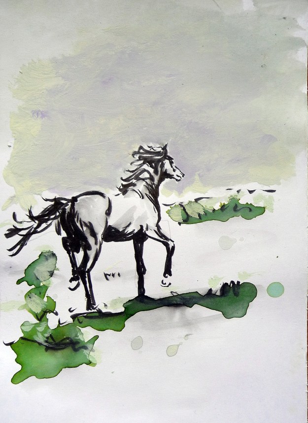 'Horse Sketch 2013'. Ink and brush on 8x6" paper