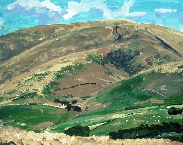 'Moffat Hills 2'. Acrylic on 20x16" canvas