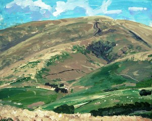 'Moffat Hills 3'. Acrylic on 20x16" canvas. Rose Strang 2015