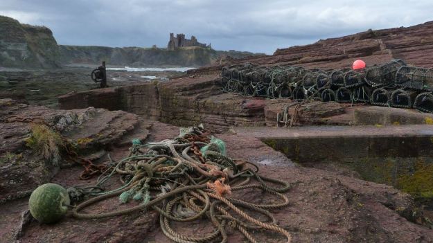 255263_276673302431279_1864581534_n