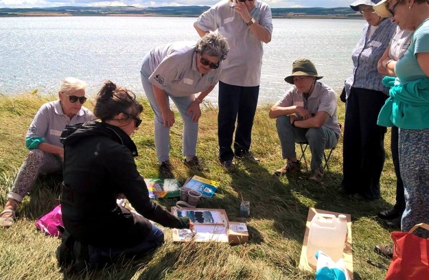 13995531_1175062502564585_2088970070315757245_o