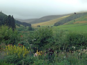 Idylic view from my bedroom window in College Valley, Northumbria