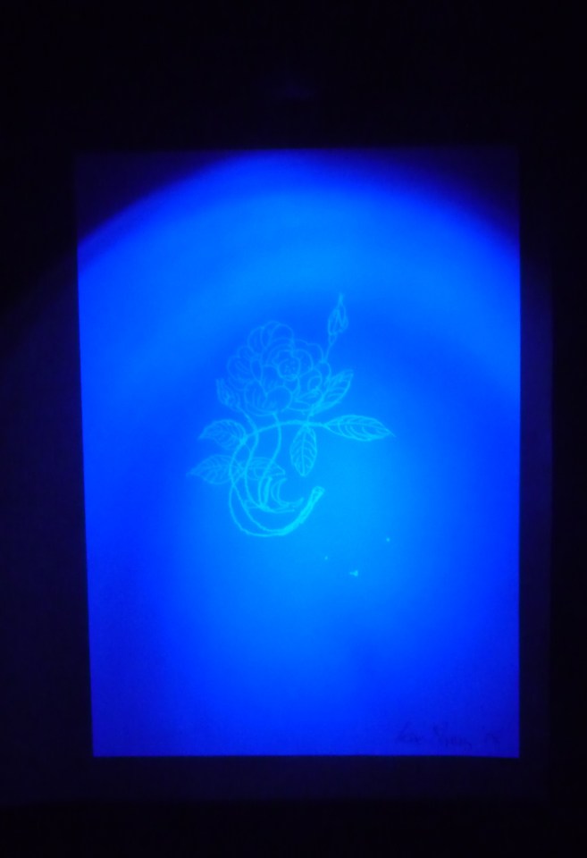 (Image appearing with UV torch). 'A Rose'. UV pen on A4 paper. Rose Strang 2019(Image appearing with UV torch). 'A Rose'. UV pen on A4 paper. Rose Strang 2019