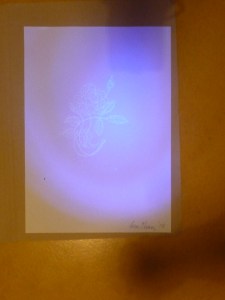 (Image appearing with UV torch). 'A Rose'. UV pen on A4 paper. Rose Strang 2019