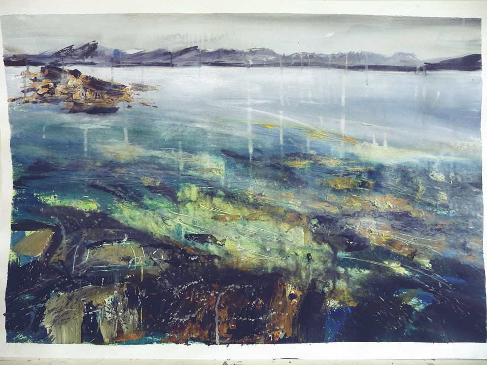 Sold. 'Coral Bed. Ardban'. Mixed media on 31x22" paper. Rose Strang 2019. £380