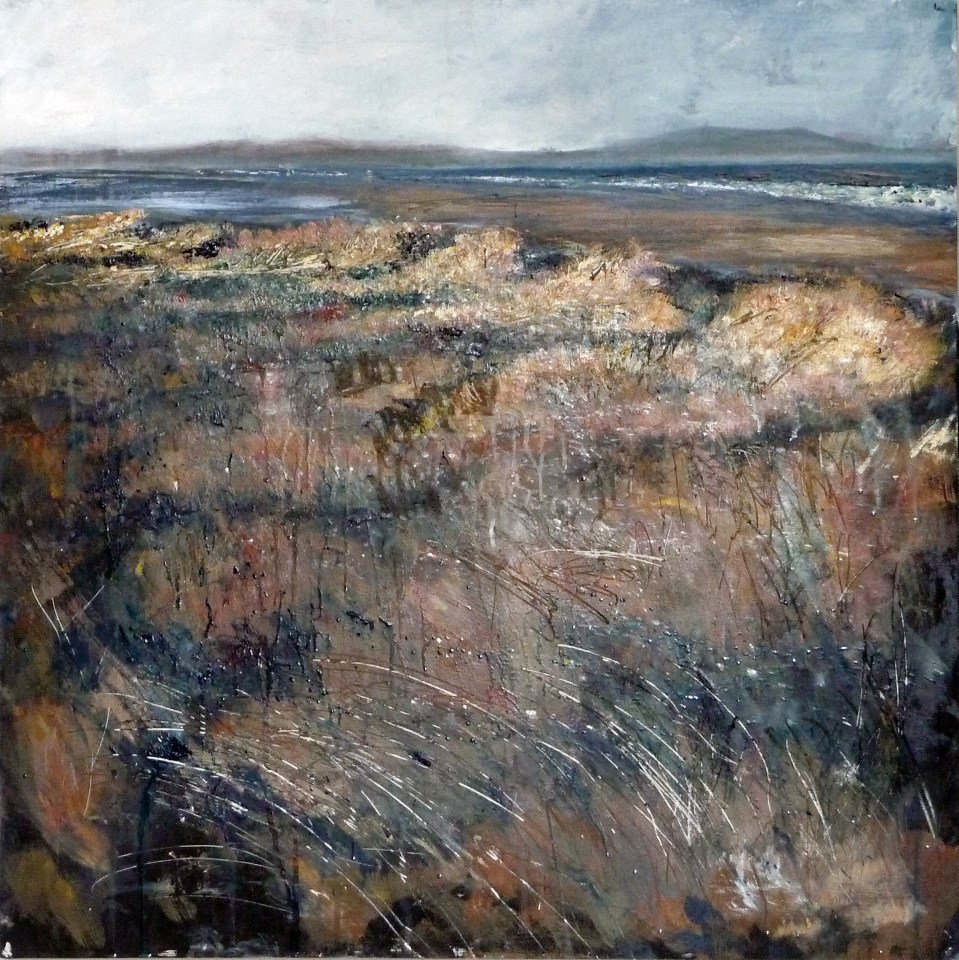 4 'Aberlady' in progress. Rose Strang 2020