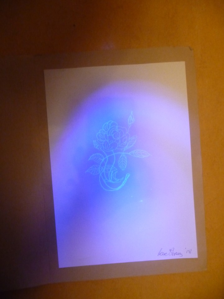 'This guy's not for burning'. UV pen, UV Torch on A4 paper. Rose Strang 2018