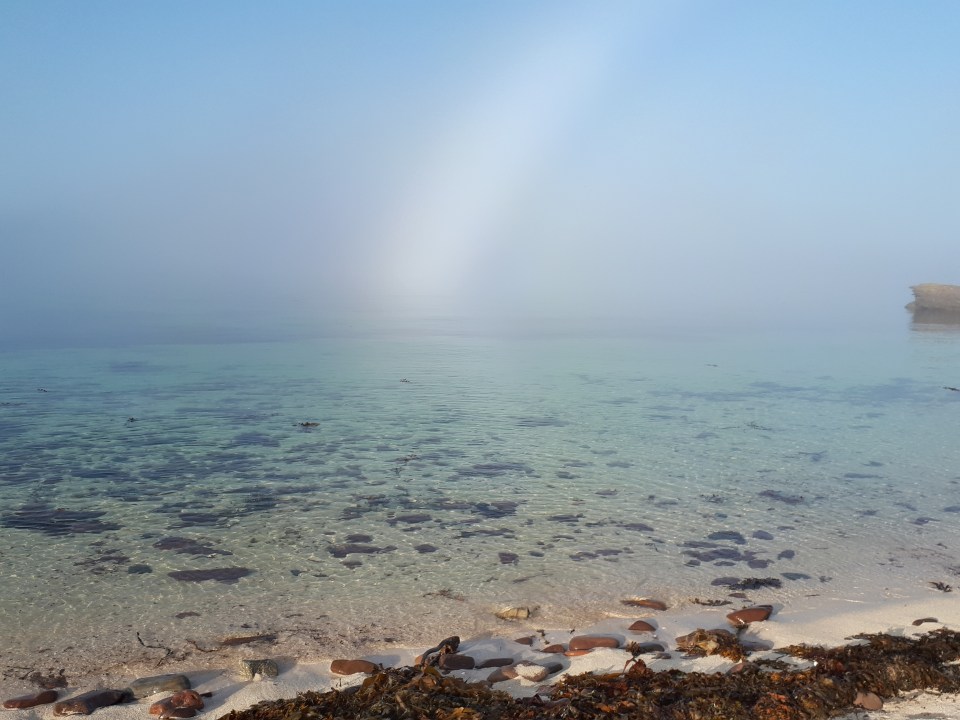 Morning Mist. Photo Rose Strang 2020